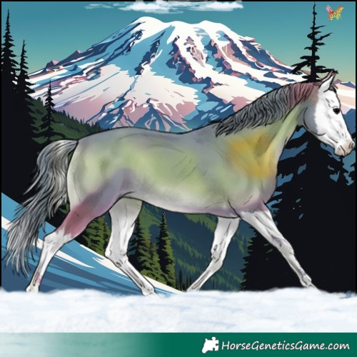 Horse Color:Watercolor Blue Onyx Splash 