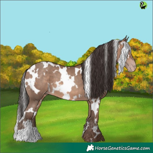 Horse Color:White Spotted Sable Champagne 