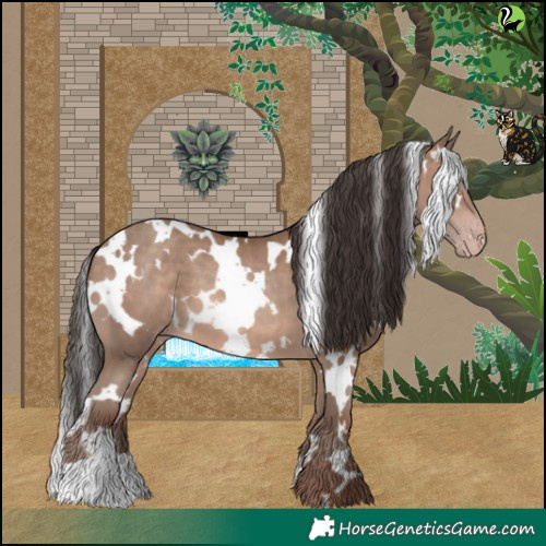 Horse Color:White Spotted Sable Champagne 