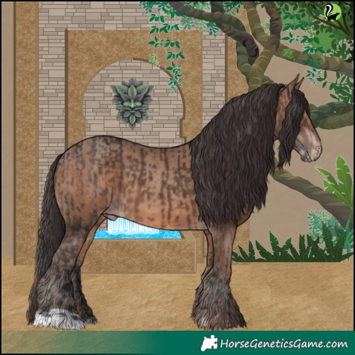 Horse Color:Brown  and Sable Champagne 