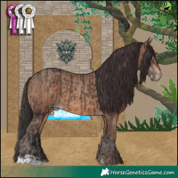 Horse Color:Brown  and Sable Champagne 