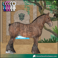 Horse Color:Brown  and Sable Champagne 