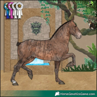 Horse Color:Brown  and Sable Champagne 