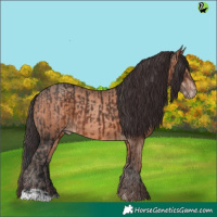 Horse Color:Brown  and Sable Champagne 