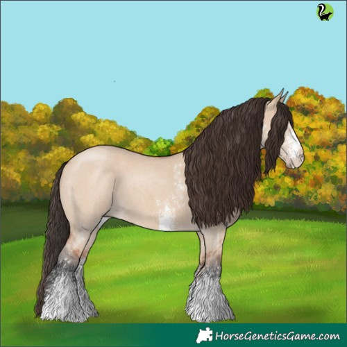 Horse Color:Bay Dun Sabino