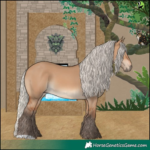 Horse Color:Silver Bay Dun 