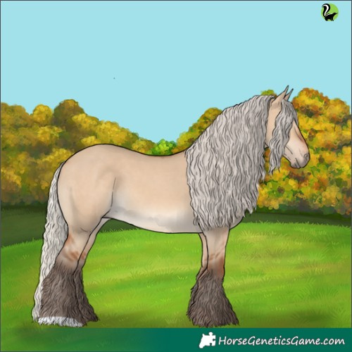 Horse Color:Silver Bay Dun