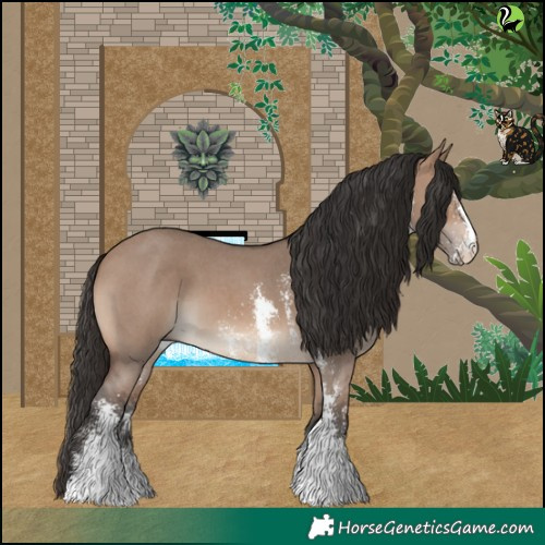 Horse Color:Brown Dun Sabino 