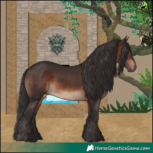 Horse Color:Brown 