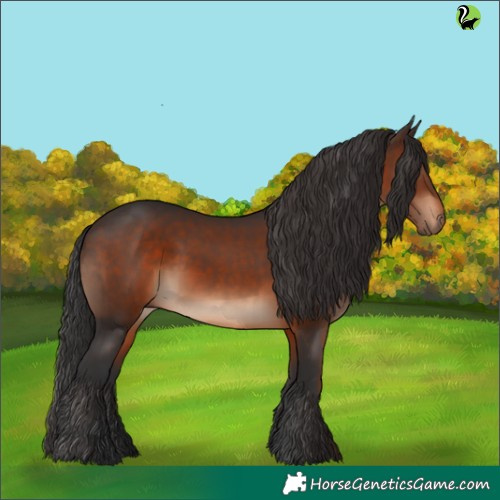 Horse Color:Brown 