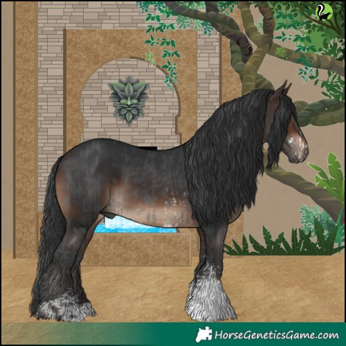 Horse Color:Black Sabino and Brown Sabino