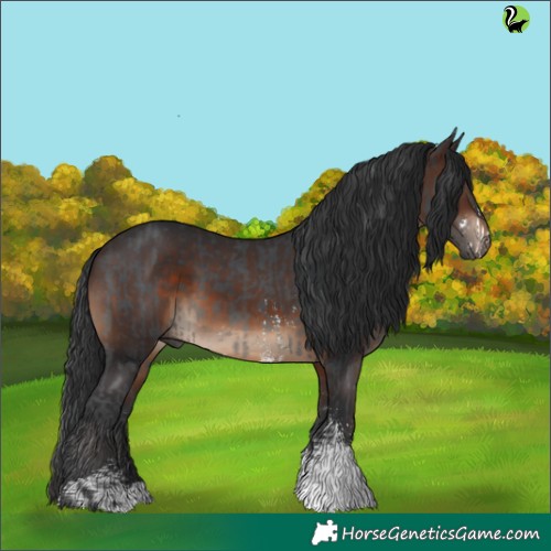 Horse Color:Black Sabino  and Brown Sabino 