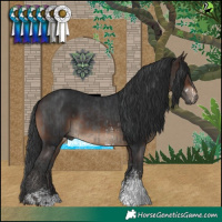 Horse Color:Black Sabino  and Brown Sabino 
