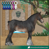 Horse Color:Black Sabino  and Brown Sabino 