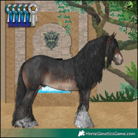 Horse Color:Black Sabino  and Brown Sabino 
