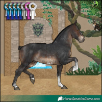 Horse Color:Black Sabino and Brown Sabino