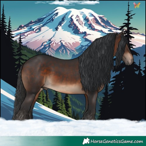 Horse Color:Brown 