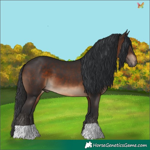 Horse Color:Brown 