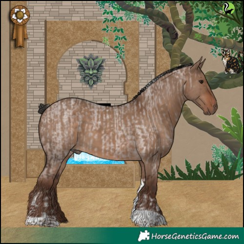 Horse Color:Silver Brown Roan Tobiano  and Liver Red Dun Tobiano 