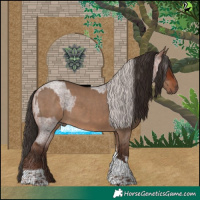 Horse Color:Silver Brown Roan Tobiano and Liver Red Dun Tobiano