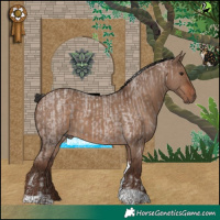 Horse Color:Silver Brown Roan Tobiano and Liver Red Dun Tobiano
