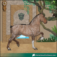 Horse Color:Silver Brown Roan Tobiano and Liver Red Dun Tobiano