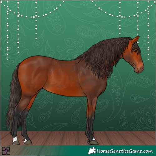 Horse Color:Bay 