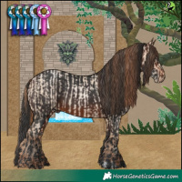 Horse Color:Sable Champagne Pearl Dun  and White Spotted Brown Rabicano 