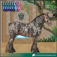 Horse Color:Sable Champagne Pearl Dun and White Spotted Brown Rabicano