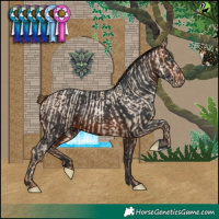 Horse Color:Sable Champagne Pearl Dun and White Spotted Brown Rabicano