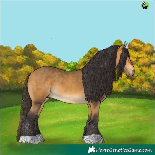 Horse Color:Buckskin Rabicano 