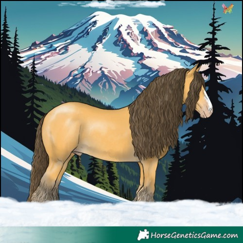 Horse Color:Amber Cream Champagne Rabicano 