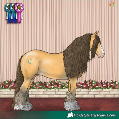 Horse Color:Amber Cream Champagne Rabicano 