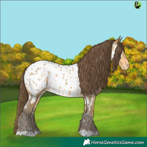 Horse Color:White Spotted Sable Cream Champagne Near Leopard 