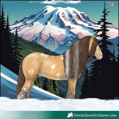 Horse Color:White Spotted Sable Cream Champagne Rabicano 