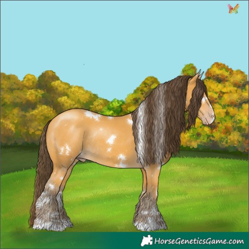 Horse Color:White Spotted Sable Cream Champagne Rabicano 