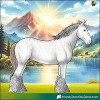 Horse Color:White Spotted Bay Dun Appaloosa