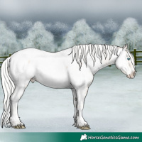 Horse Color:Silver Perlino Splash Tobiano Appaloosa Rabicano