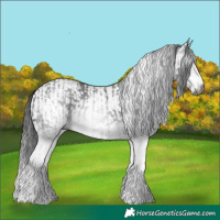 Horse Color:Gray White Spotted Smoky Black  and Gray White Spotted Smoky Black 