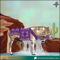 Horse Color:White Spotted Chocolate Palomino Dun Mushroom