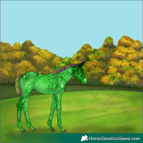 Horse Color:ERROR: UNKNOWN ANOMALY