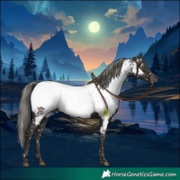 Horse Color:Liver Chestnut Mushroom Appaloosa