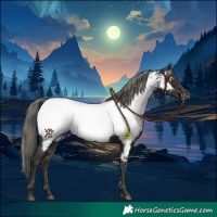 Horse Color:Liver Chestnut Mushroom Appaloosa 