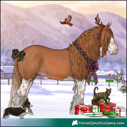 Horse Color:Chestnut  and Chestnut Splash 