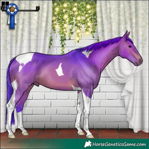 Horse Color:Watercolor Brown Tobiano 