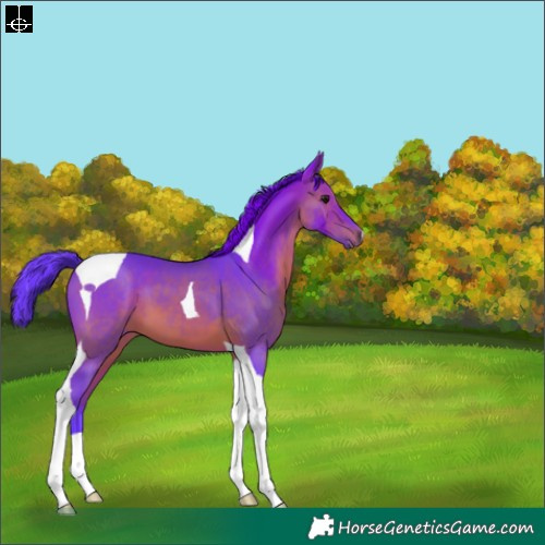 Horse Color:Watercolor Brown Tobiano 