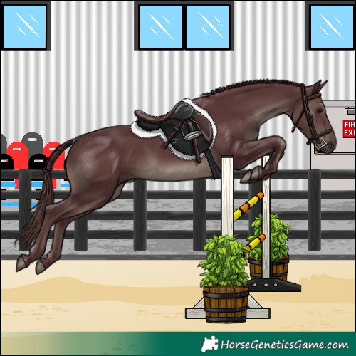 Horse Color:Chocolate Black Rabicano 