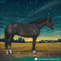 Horse Color:Brown 