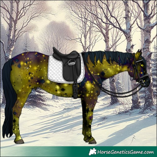 Horse Color:ERROR: UNKNOWN ANOMALY