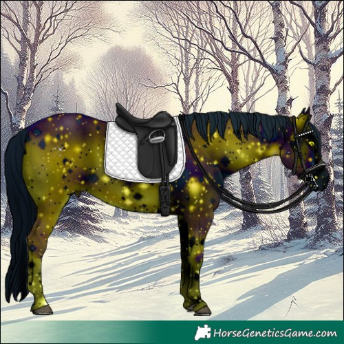 Horse Color:ERROR: UNKNOWN ANOMALY